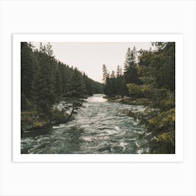 Creek Through Forest Art Print
