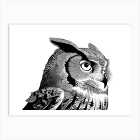 Black & White Owl Portrait Art Print