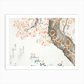 Chinese Cherry Blossoms 1 Art Print