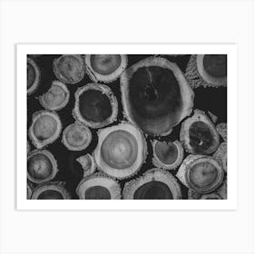 Black and White Logs Art Print