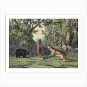 Vintage Kolb 6 Tafel 24 Tigerwolf Art Print