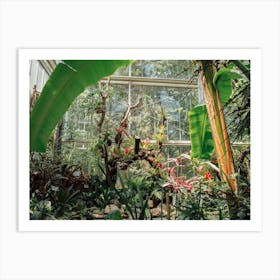 Botanical Tropical Garden  Art Print