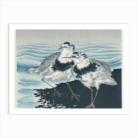 Two Sandpipers Art Print