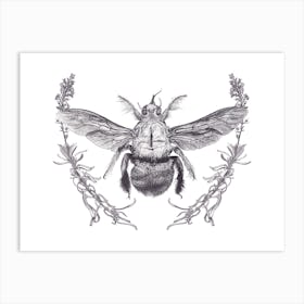 Carpenter Bee Art Print