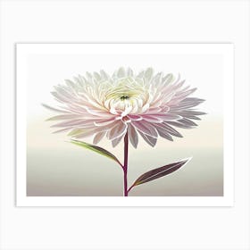 Chrysanthemum Art Print