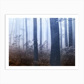 Forest Dreamland - Pacific Northwest Nature II Art Print