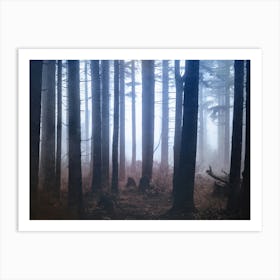 Forest Dreamland - Pacific Northwest Nature Art Print