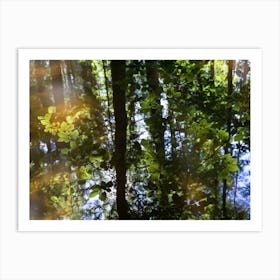 Reflection of trees and leaves in water Art Print