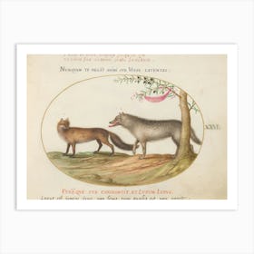 Animalia Qvadrvpedia Et Reptilia (1575 1580), Joris Hoefnagel Art Print