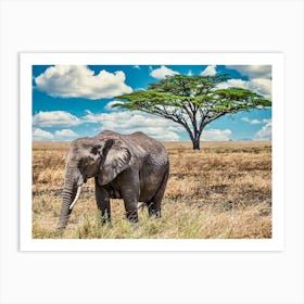 Elephant In The Savannah 1 Art Print