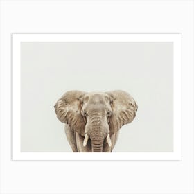 Elephant 1 Art Print