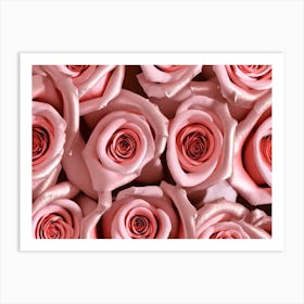 Pink Roses 3 Art Print