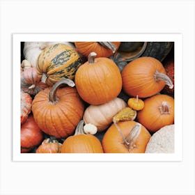 Farm Pumpkins Art Print