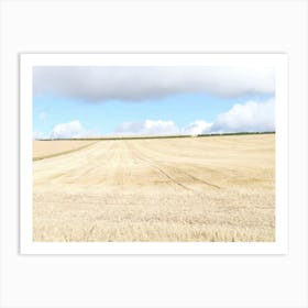 Barley field, Fife 11613 Art Print