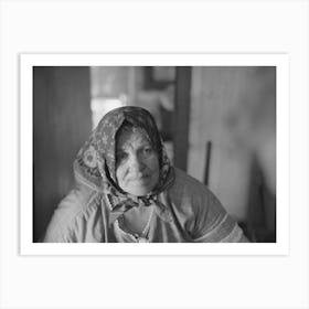 Wife Of Bohemian Farmer Near Black River Falls, Wisconsin By Russell Lee 2 Art Print