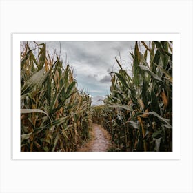 Rustic Corn Maze Art Print