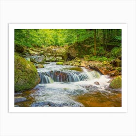 Waterfall In The Forest Art Print