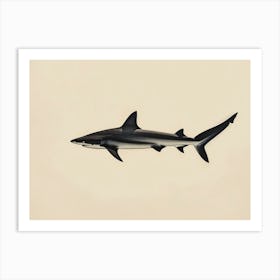 Thresher Shark Silhouette 4 Art Print