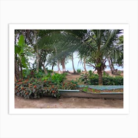 Plants on Beach in Puerto Viejo, Costa Rica Art Print