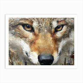 Coyote In The Woods 2 Art Print