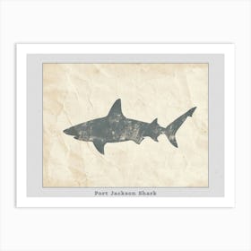 Port Jackson Shark Silhouette 4 Poster Art Print