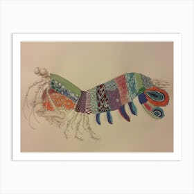 Mantis Shrimp Art Print