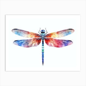 Dragonfly Coastal Watercolour Art Print