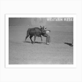 Rodeo Performer Bulldogging A Calf At The Rodeo Of The San Angelo Fat Stock Show, San Angelo, Texas By Russell Lee Art Print