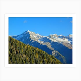 Alpine Forest Art Print