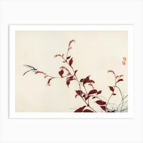 Dragonfly On A Plant Art Print