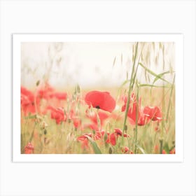 Puglia, Italy I Fields of red poppy flowers in a wild boho bohemian landscape photography with pastel aesthetic to enjoy summer and la dolce vita in a soothing rejuvenating and tranquil countryside landscape Art Print