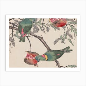 Two Parrots On A Pomegranate Art Print