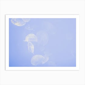 Jellyfish Swimming Underwater In La Rochelle Art Print