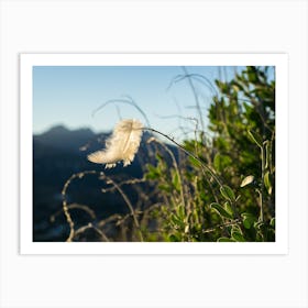 Light feather in the wind Art Print