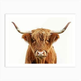 Highland Cow 2 Art Print