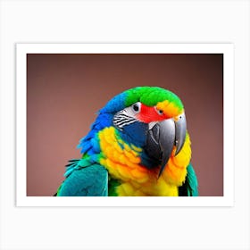 Colorful Parrot Art Print