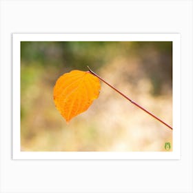 Autumn Leaf 20210101 134ppub Art Print