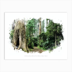 Dandenong Ranges National Park, Melbourne Region, Victoria Art Print