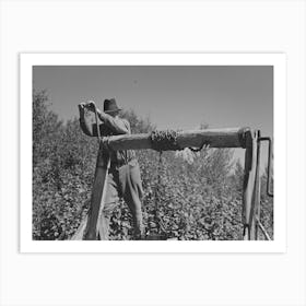 William Besson, Mining Prospector, Near Winton, Minnesota, The Windlass Is Homemade By Russell Lee Art Print