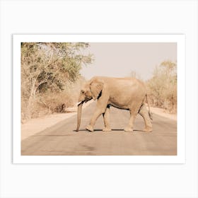 Elephant On The Road In Kruger National Park Art Print