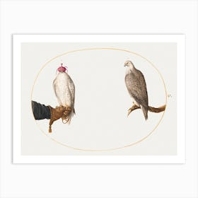 Hooded Falcon And Its Wild Counterpart (1575–1580), Joris Hoefnagel Art Print