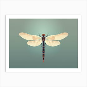 Dragonfly Common Whitetail Plathemis Blue Illustration Vintage  Art Print