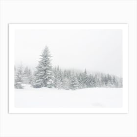 Snow Covered Forest Art Print