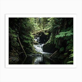 Rainforest Waterfall Art Print
