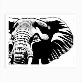 Elephant Head, 1338 Art Print