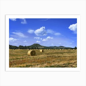 Summer field Art Print