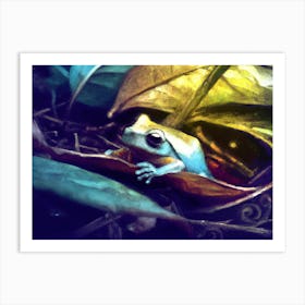 Tree Frog Art Print