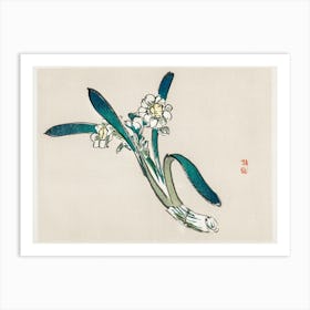 Bunchflower Daffodil, Kōno Bairei Art Print