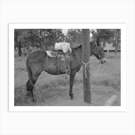 Saddle Horses With Supplies Tied To Telephone Post, Saturday Afternoon, San Augustine, Texas By Russell Lee Art Print