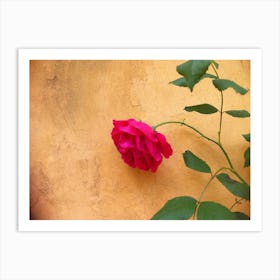 Flower in France Art Print